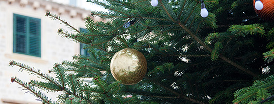 Christmas trees